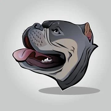 Vector illustration of a gray pitbull dog, with tongue sticking out to the side Stock Illustration