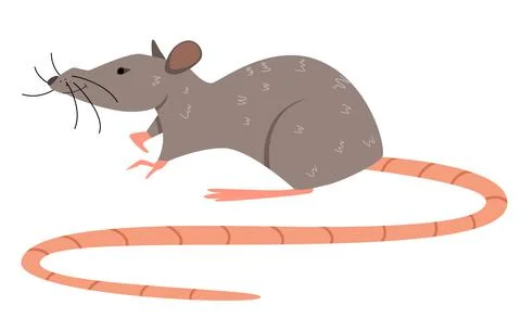 Vector illustration of a gray rat in a flat style Stock Illustration