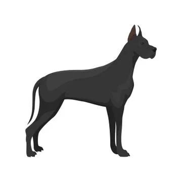Vector illustration of Great Dane Stock Illustration