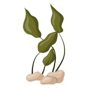 Vector illustration of green algae leaves isolated on a white background. Aqu Stock Illustration