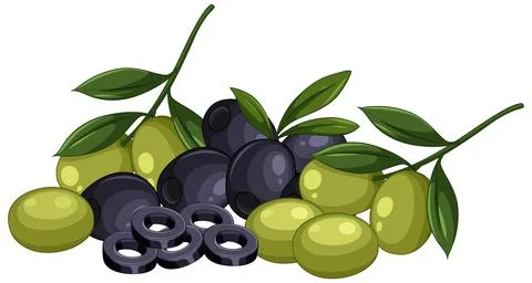 Vector Illustration of Green and Black Olives with Branches and Slices Stock Illustration