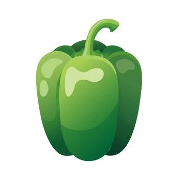 Vector illustration of green bell pepper, glossy flat style, isolated, minimal Stock Illustration