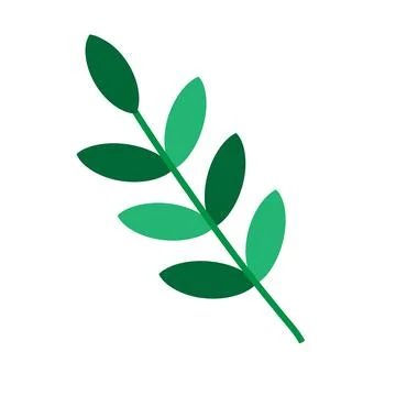 Vector Illustration of a green fall leaf isolated on a white background Stock Illustration