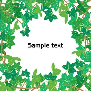 Vector illustration of green ivy isolated on white background with space for you Stock Illustration