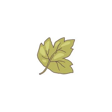 Vector illustration of green leaf with carved shape in minimal flat style. Stock Illustration