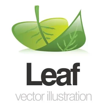 Vector Illustration of Green Leaf Icon 库存插图