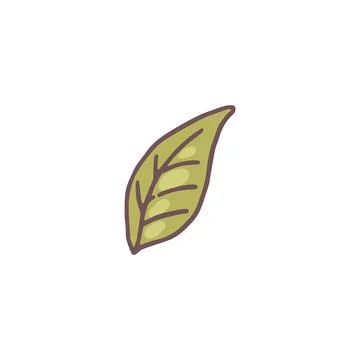 Vector illustration of green leaf icon on isolated background. Stock Illustration