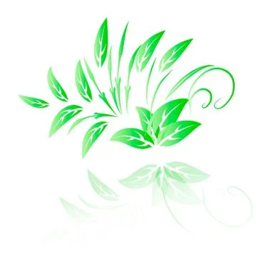 Vector illustration of Green leaf Stock Illustration