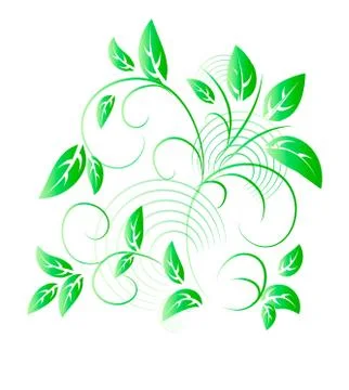 Vector illustration of Green leaf Stock Illustration