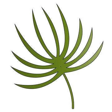 Vector illustration of a green leaf. Tropical green leaf. Stock Illustration