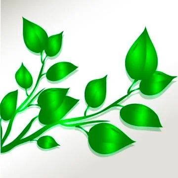 Vector illustration of green leaves イラスト素材