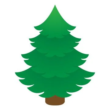 Vector illustration. Green spruce. Stock Illustration