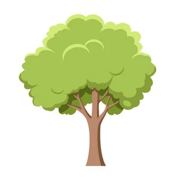Vector illustration of a green tree in cartoon style isolated on white back.. Stock Illustration