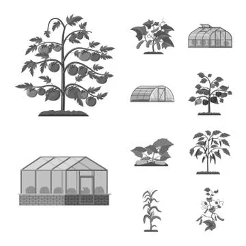 Vector illustration of greenhouse and plant icon. Set of greenhouse and garden Stock Illustration