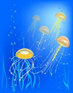 Vector illustration with a group of jellyfish. bubble and seaweed Stock Illustration