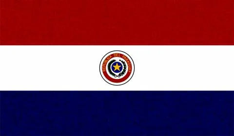 Vector Illustration Grunge And Distressed Flag Of Paraguay Illustrazione stock