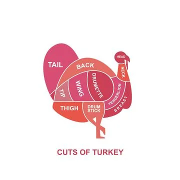 Vector illustration guide Meat cuts set. Turkey Butcher Poster Stock Illustration