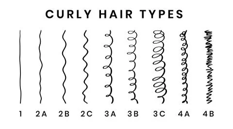 Vector illustration of hair types chart with all curl types, labeled. Curly girl Illustrazione stock