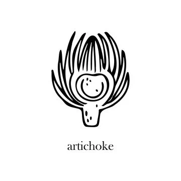 Vector illustration of half an artichoke. Healthy vegetables. 스톡 일러스트
