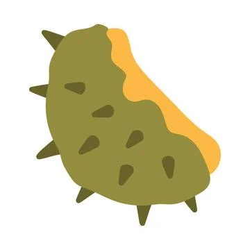 Vector illustration of half a green spiky chestnut shell hull. Great for autumn イラスト素材