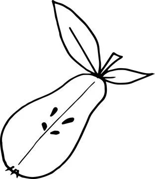 Vector illustration of half pear with leaves in doodle style Stock Illustration