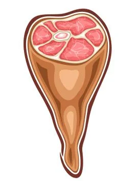 Vector illustration of Ham Leg. Stock Illustration
