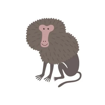 Vector illustration hamadryas baboon Stock Illustration