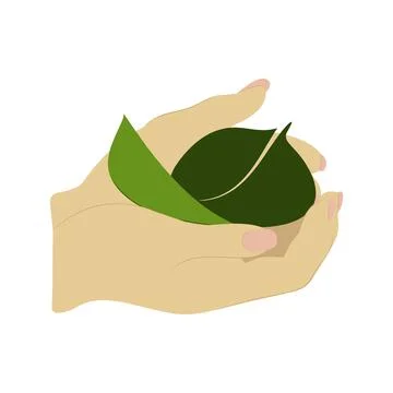 Vector illustration of hand and leaf. Stock Illustration