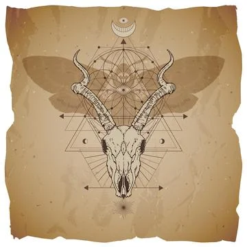 Vector illustration with hand drawn antelope skull, dead head moth and Sacred Stock Illustration