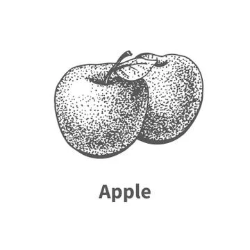 Vector illustration hand-drawn apple Stock Illustration