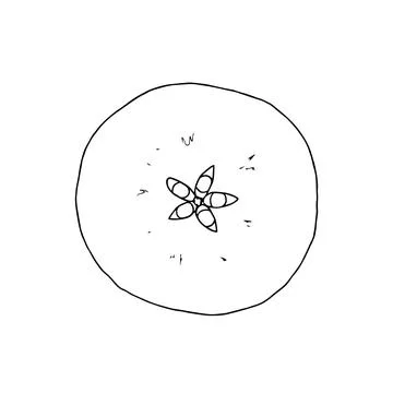 Vector illustration of a hand drawn apple slice. Black and white outline drawing Stock Illustration
