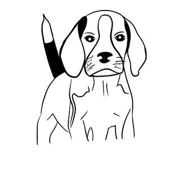 Vector illustration hand drawn beagle puppy, line art Stock Illustration