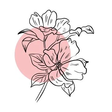 Vector illustration hand drawn beautiful flower with pink spot, line art Stock Illustration