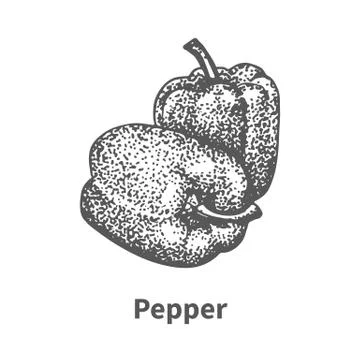 Vector illustration hand-drawn bell pepper Stock Illustration