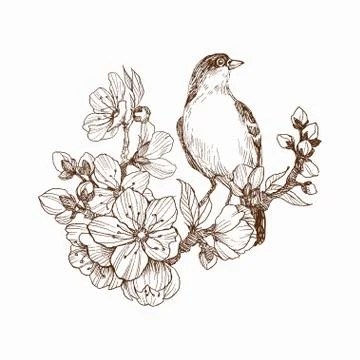 Vector illustration of hand drawn bird on blooming brunch. Graphic style Stock Illustration