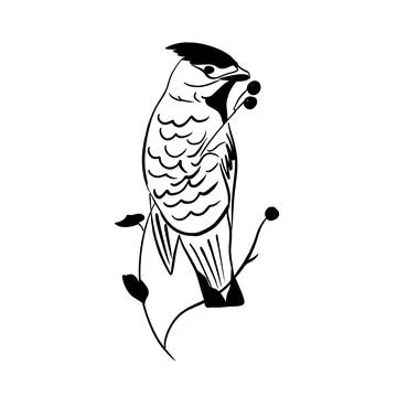 Vector illustration hand drawn bird sitting on a branch, line art Stock Illustration