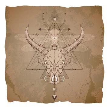 Vector illustration with hand drawn buffalo skull, dragonfly and Sacred geome Stock Illustration