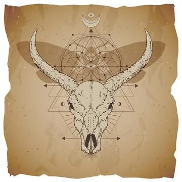 Vector illustration with hand drawn buffalo skull, dead head moth and Sacred  Stock Illustration