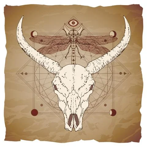 Vector illustration with hand drawn buffalo skull, dragonfly and Sacred geome Stock Illustration