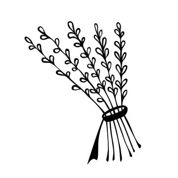 Vector illustration of a hand-drawn bundle of herbs tied with a rope Stock Illustration