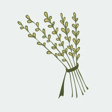 Vector illustration of a hand-drawn bundle of herbs tied with a rope Stock Illustration