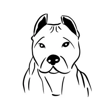 Vector illustration hand drawn Cane Corso with black lines Stock Illustration