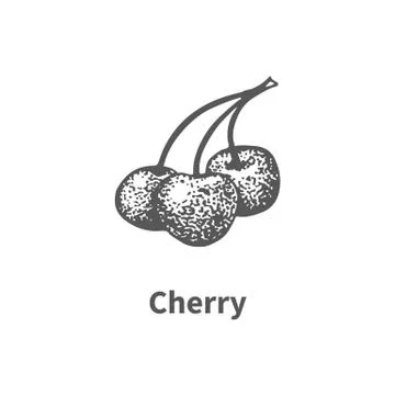 Vector illustration hand-drawn cherry Stock Illustration