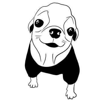 Vector illustration hand drawn cute chihuahua puppy ,line art Stock Illustration