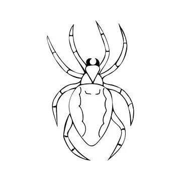 Vector illustration of hand-drawn dark spider. Doodle style vector illustration Stock Illustration