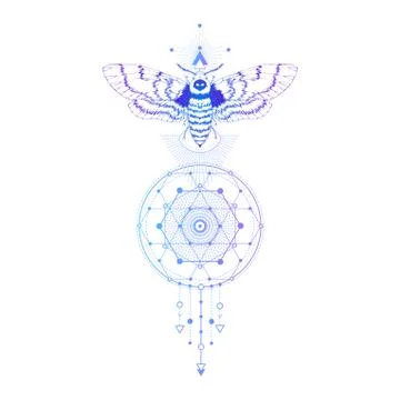 Vector illustration with hand drawn dead head moth and Sacred geometric symbol Stock Illustration