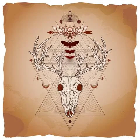Vector illustration with hand drawn deer skull, dead head moth and Sacred geo Stock Illustration