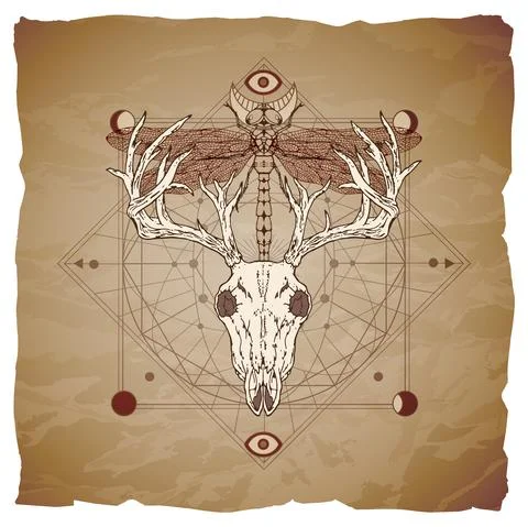 Vector illustration with hand drawn deer skull, dragonfly and Sacred geometri Stock Illustration