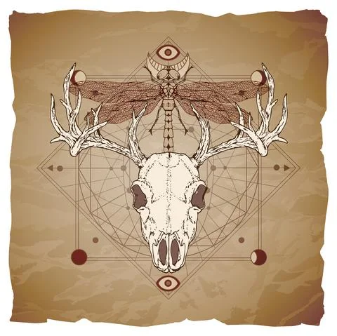 Vector illustration with hand drawn deer skull, dragonfly and Sacred geometri Stock Illustration