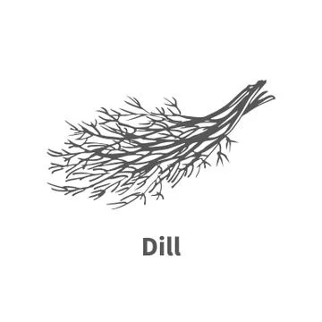 Vector illustration hand-drawn dill Stock Illustration